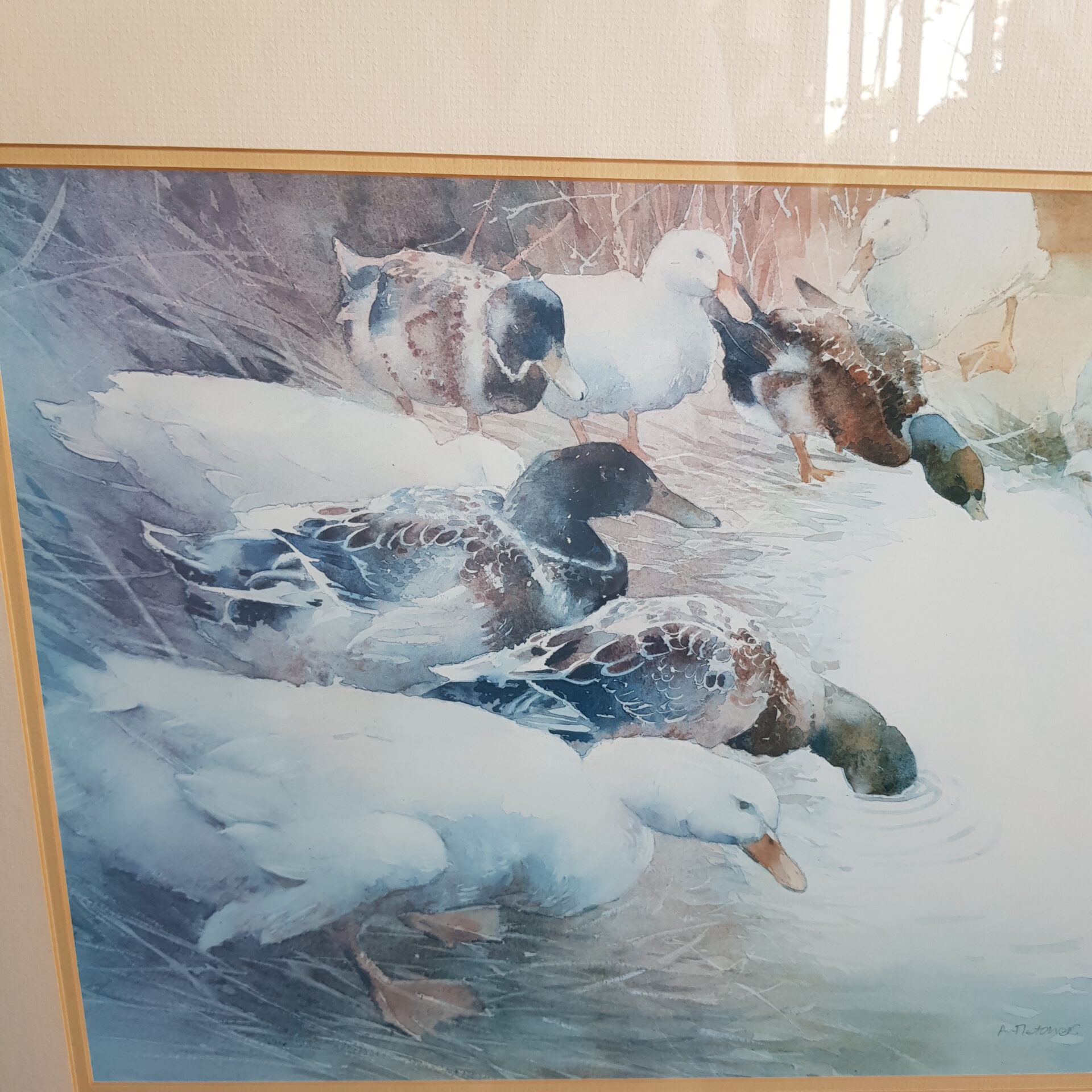 Picture - Modern - Ducks to Water - Framed - Wall Art Picture - Modern - Ducks to Water - Framed - Wall Art